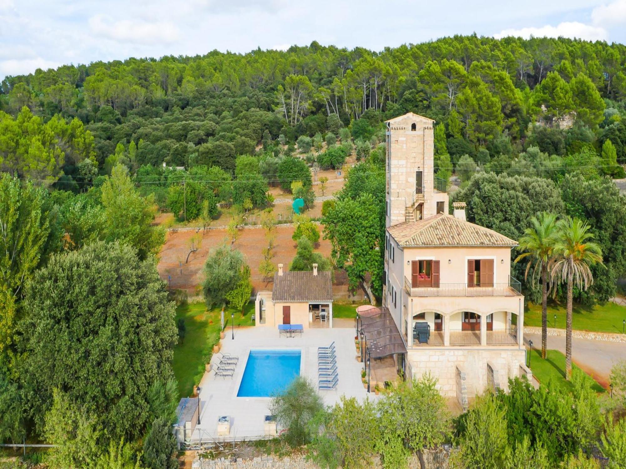 Near Puerto De Alcudia Selva (Mallorca)